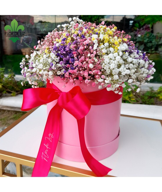 CAJA DECORADA GIPSOS COLORIDOS